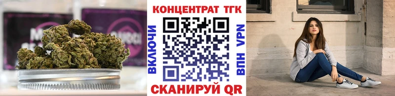 цена наркотик  Петропавловск-Камчатский  Дистиллят ТГК THC oil 