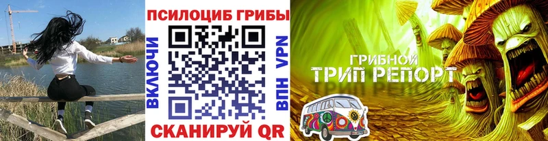 Галлюциногенные грибы Psilocybine cubensis Петропавловск-Камчатский